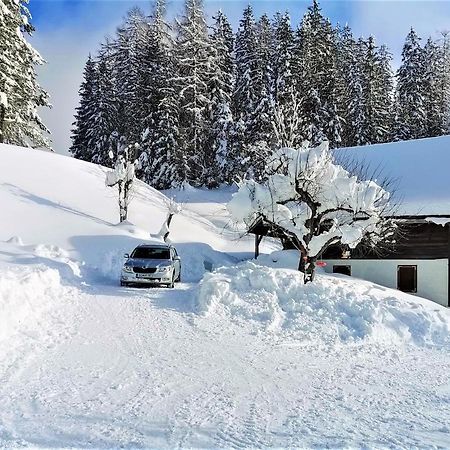 Natur Pur Pikovo Villa Crna na Koroskem Exterior photo