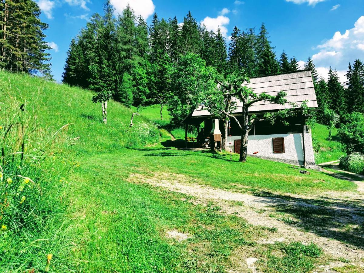 Natur Pur Pikovo Villa Crna na Koroskem Exterior photo