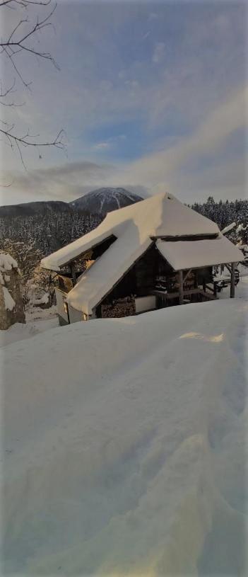 Natur Pur Pikovo Villa Crna na Koroskem Exterior photo